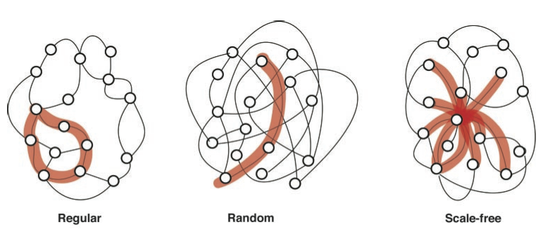 Different graph models exhibit different local (eg degree) and global properties (eg mean path length)