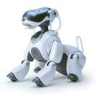 Picture of AIBO robotic dog
