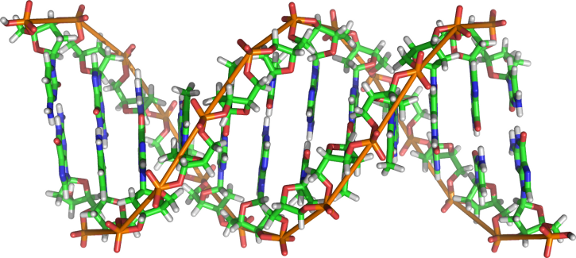 images/DNA.png